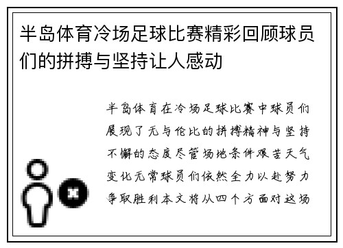 半岛体育冷场足球比赛精彩回顾球员们的拼搏与坚持让人感动