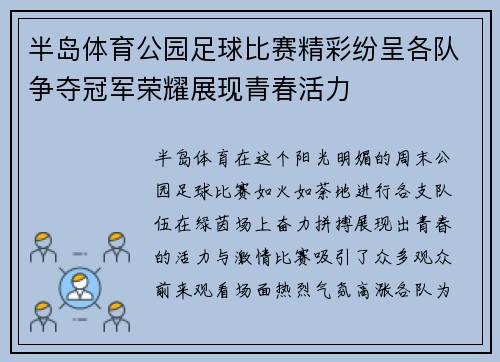半岛体育公园足球比赛精彩纷呈各队争夺冠军荣耀展现青春活力