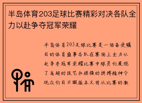 半岛体育203足球比赛精彩对决各队全力以赴争夺冠军荣耀